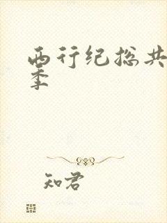 西行纪总共有几季