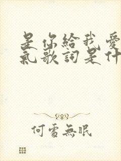 是你给我爱的勇气歌词是什么歌名