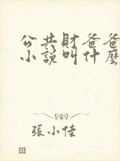公共财爸爸原著小说叫什么名字