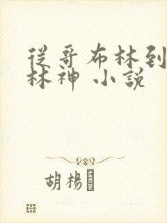 从哥布林到哥布林神 小说