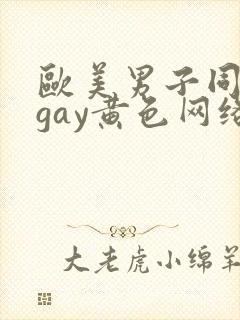 欧美男子同性恋gay黄色网络