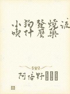 小狗发烧流鼻涕吃什么药