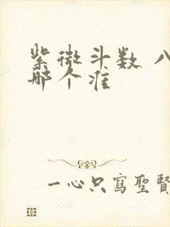 紫微斗数 八字哪个准