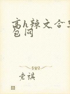 高h辣文合集书包网
