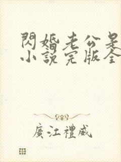 闪婚老公是豪门小说完版全章