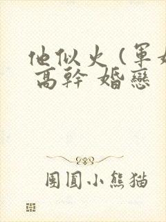 他似火 (军婚 高干 婚恋