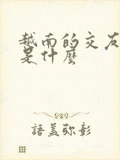 越南的交友软件是什么