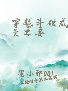 穿越斗破成为萧炎之妻