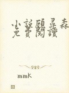 小说顾寻森时汐免费阅读