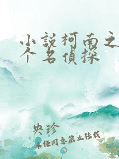 小说柯南之又一个名侦探