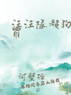 汪汪队超狗阿波罗