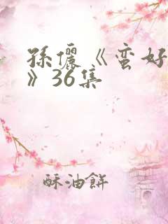 孙俪《蛮好人生》36集