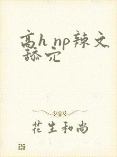 高h np辣文 舔穴