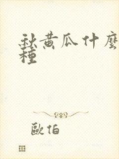 秋黄瓜什么季节种