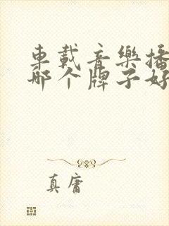 车载音乐播放器哪个牌子好