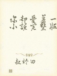 你却爱着一个他小说完整版