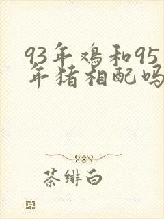 93年鸡和95年猪相配吗