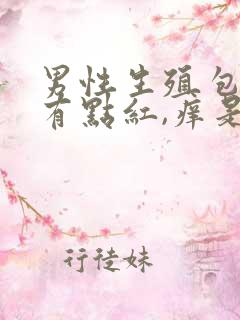 男性生殖包皮内有点红,痒是什么原因