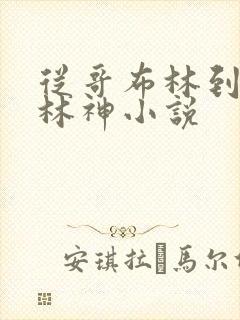 从哥布林到哥布林神小说 从哥布林到哥布林神小说