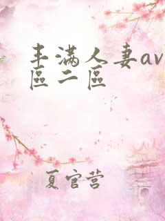 丰满人妻av一区二区