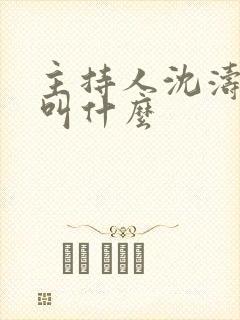主持人沈涛老婆叫什么