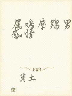 属鸡摩羯男对待感情