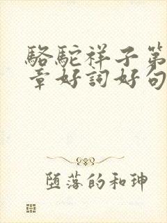骆驼祥子第13章好词好句