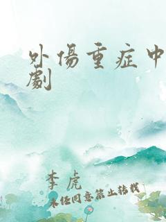 外伤重症中心韩剧