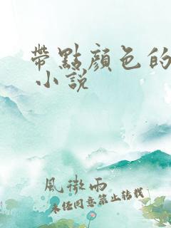 带点颜色的小说 小说