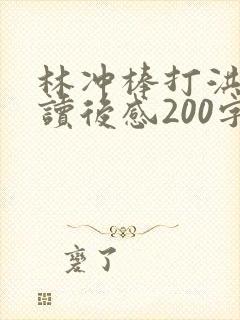 林冲棒打洪教头读后感200字