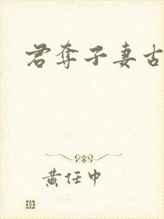 君夺子妻古言