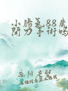 小肠气88岁能开刀手术吗