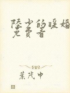 陆少的暖婚新妻免费看