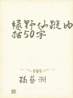 绿野仙踪内容概括50字