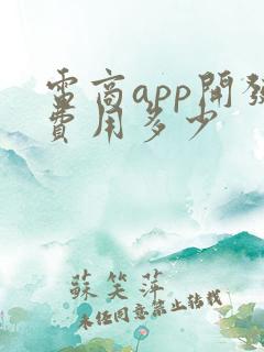 电商app开发费用多少
