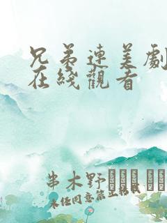兄弟连美剧高清在线观看