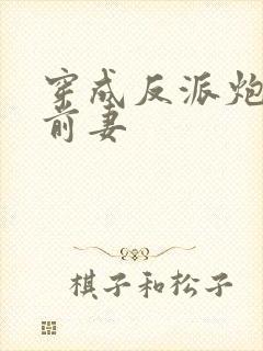 穿成反派炮灰的前妻