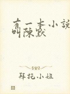 有一本小说男主叫陈默