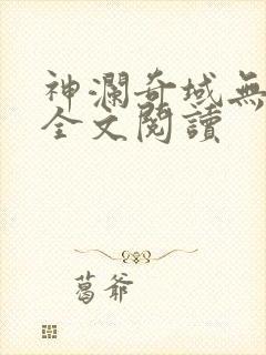 神澜奇域无双珠全文阅读