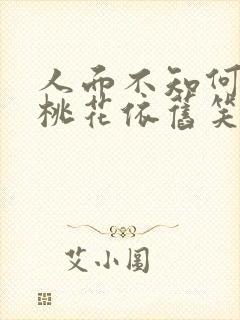 人面不知何处去桃花依旧笑春风