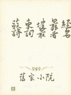 苏东坡最经典的诗词最著名的十首诗