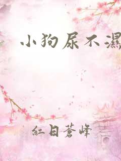 小狗尿不湿