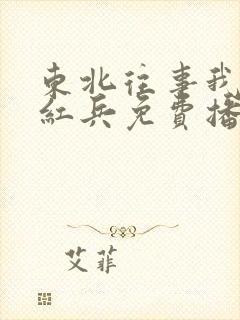 东北往事我叫赵红兵免费播放