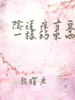阴道痒有豆腐渣一样的东西