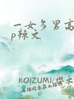 一女多男高hnp辣文
