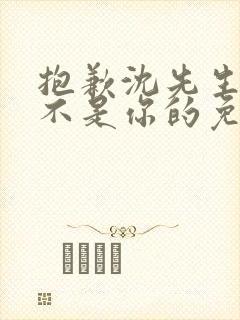 抱歉沈先生孩子不是你的免费