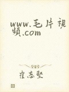 www.毛片视频.com