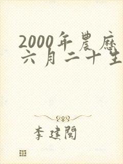 2000年农历六月二十生辰八字