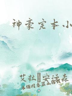 神豪完本小说