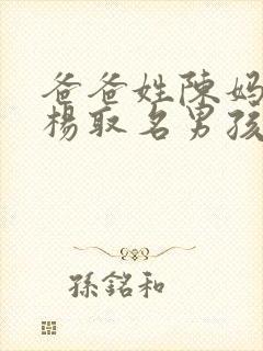 爸爸姓陈妈妈姓杨取名男孩